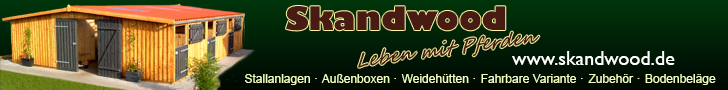 skandwood_banner